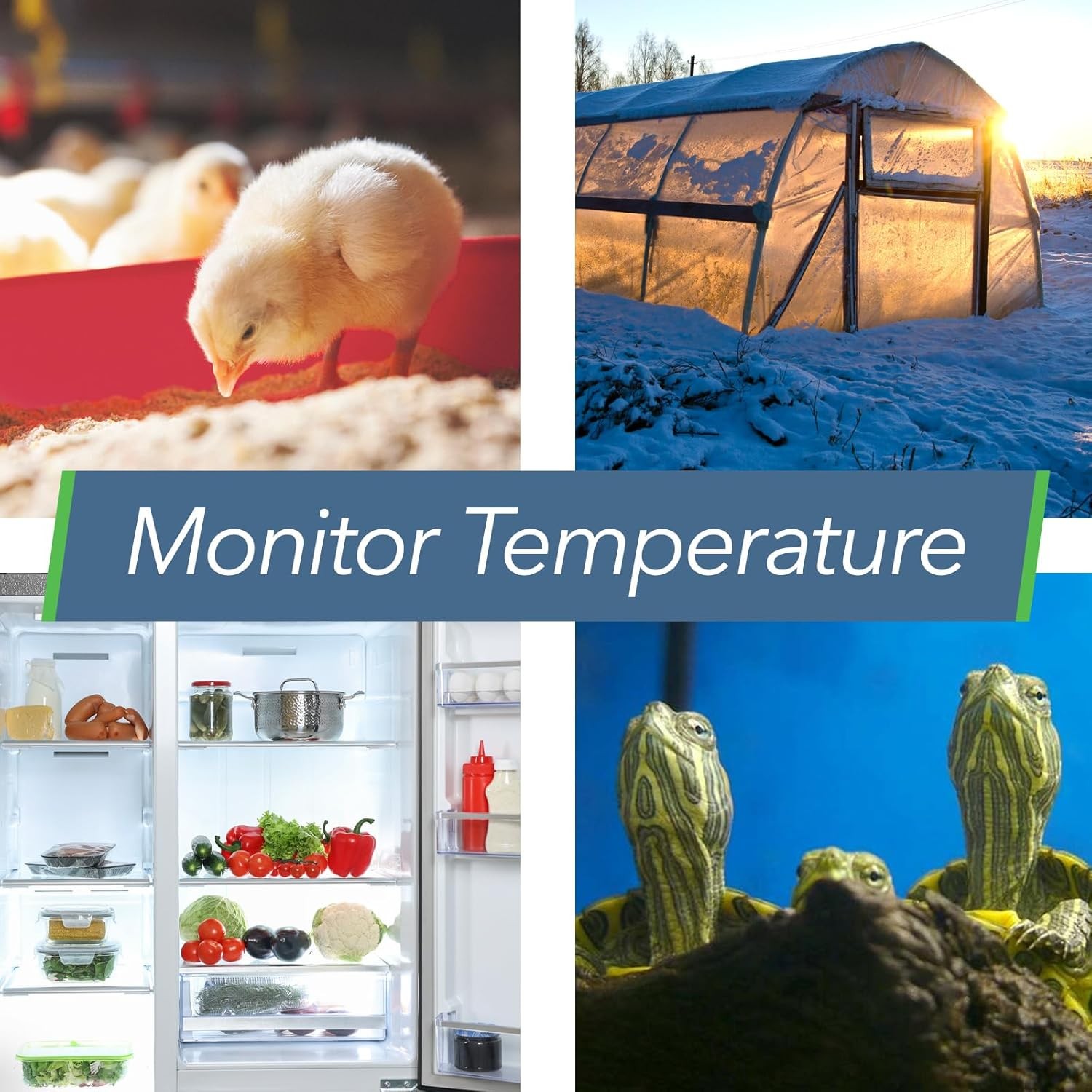 Smart Temperature Humidity Sensor Bluetooth Monitor Thermometer Hygrometer App