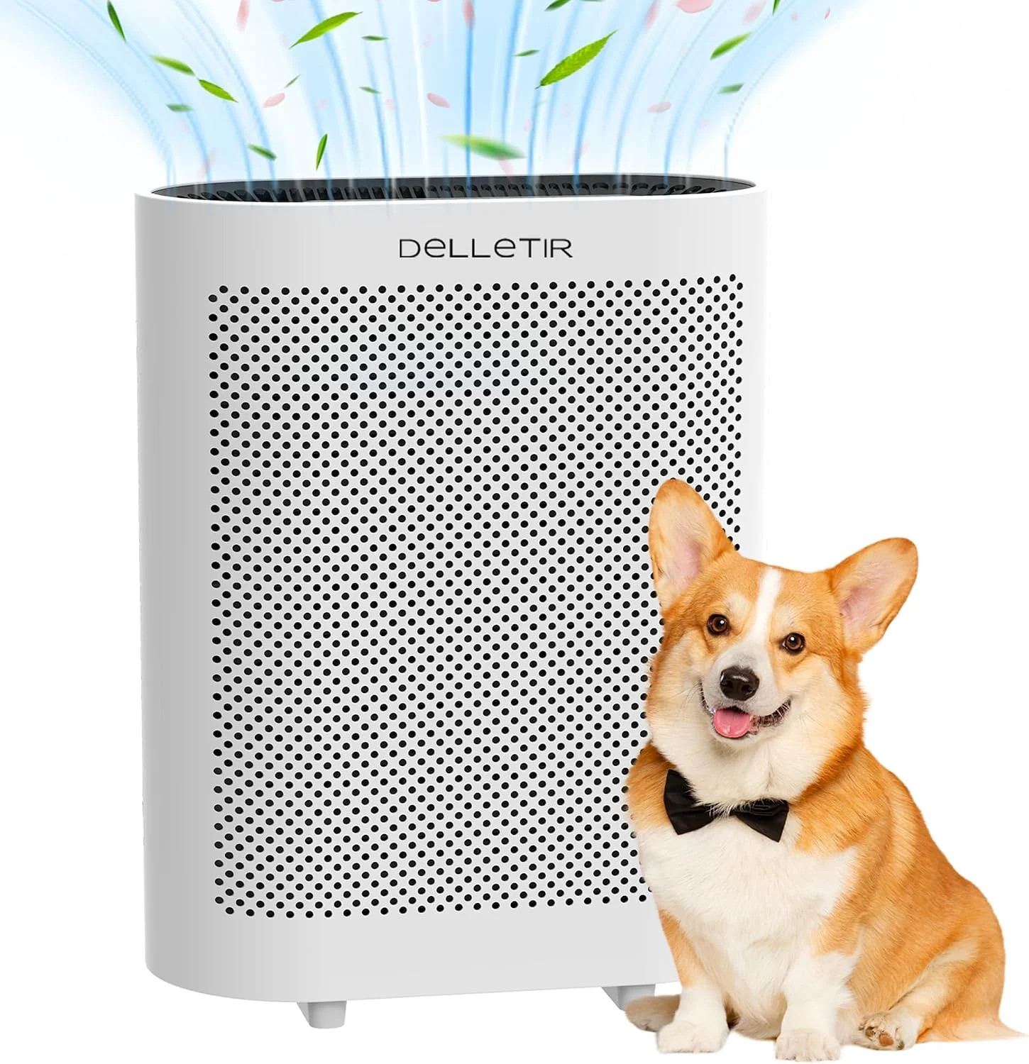 Desktop Air Purifier with 3-in-1 True HEPA Filter, Ultra Quiet Less Than 32dB Sm
