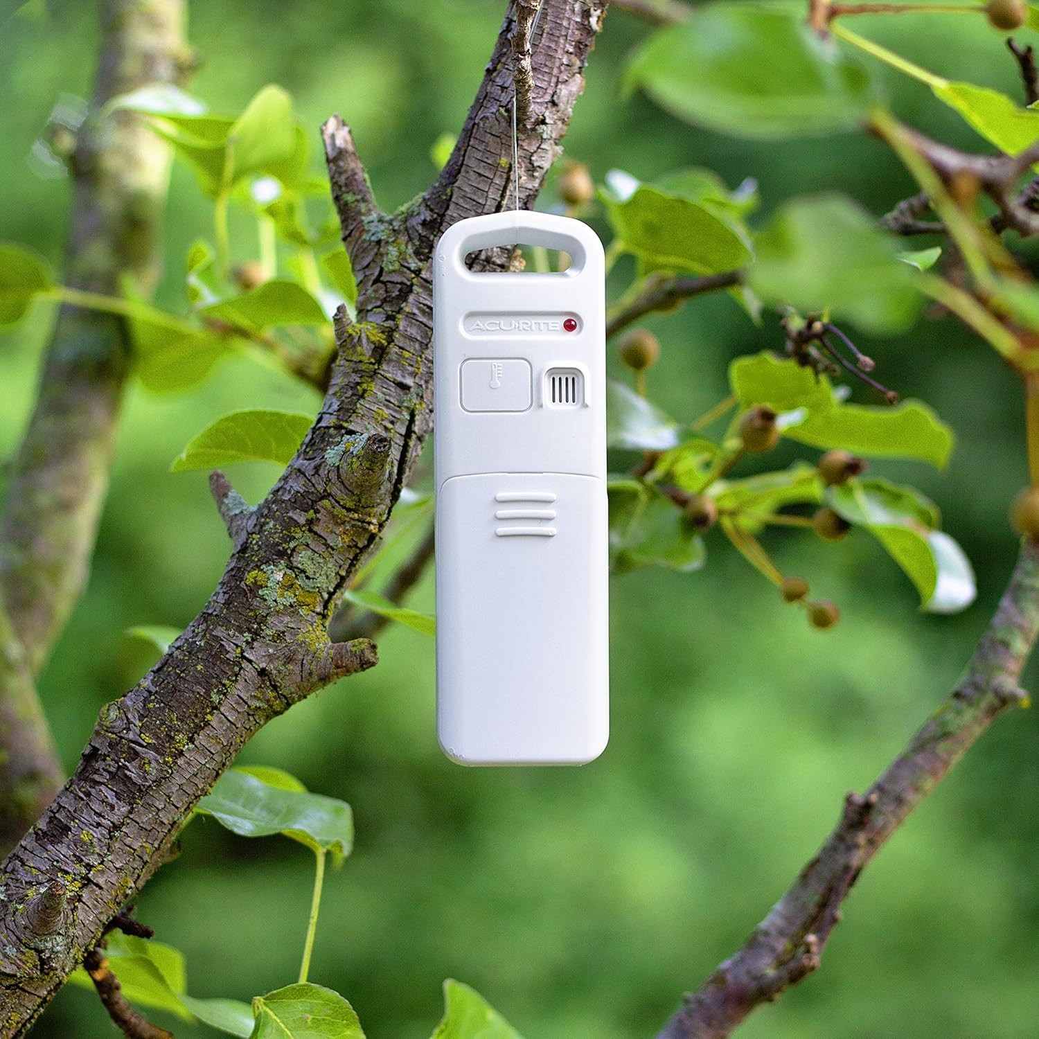 AcuRite Wireless Indoor Outdoor Temperature Sensor (06009RMA1 / 606TXA1)